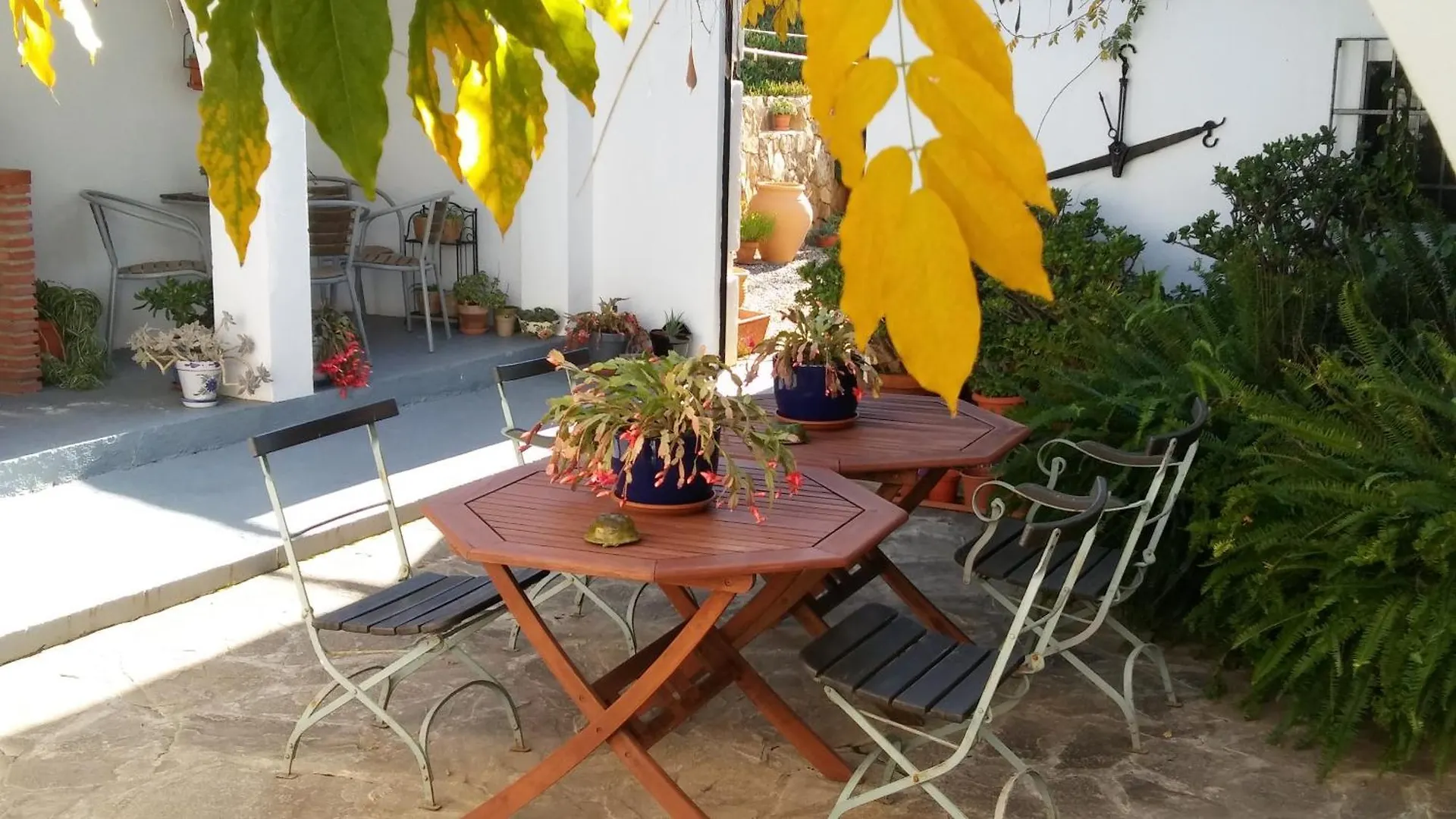 Bed & Breakfast B&B Casa Domingo Alora