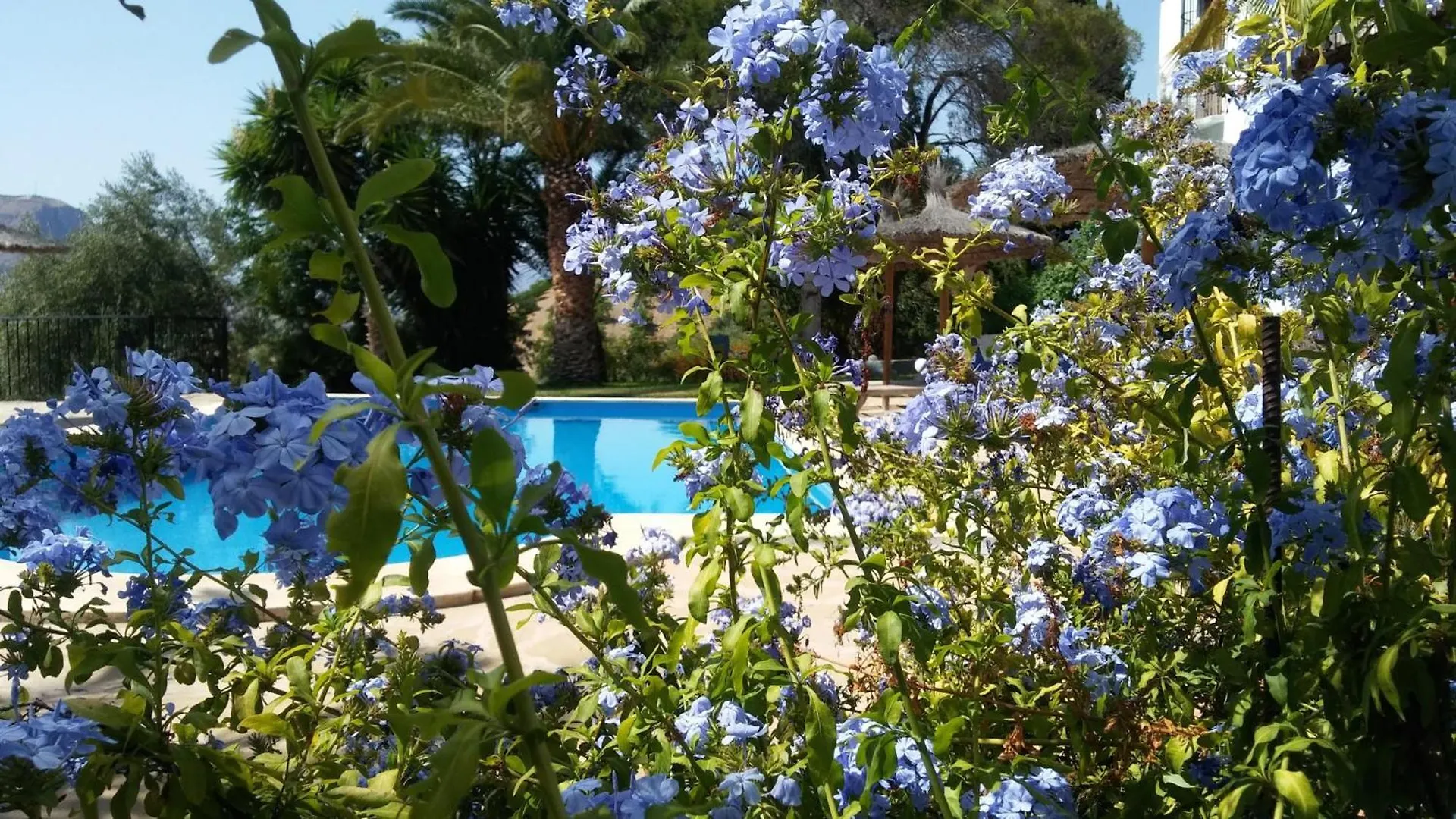 Bed & Breakfast B&B Casa Domingo Alora