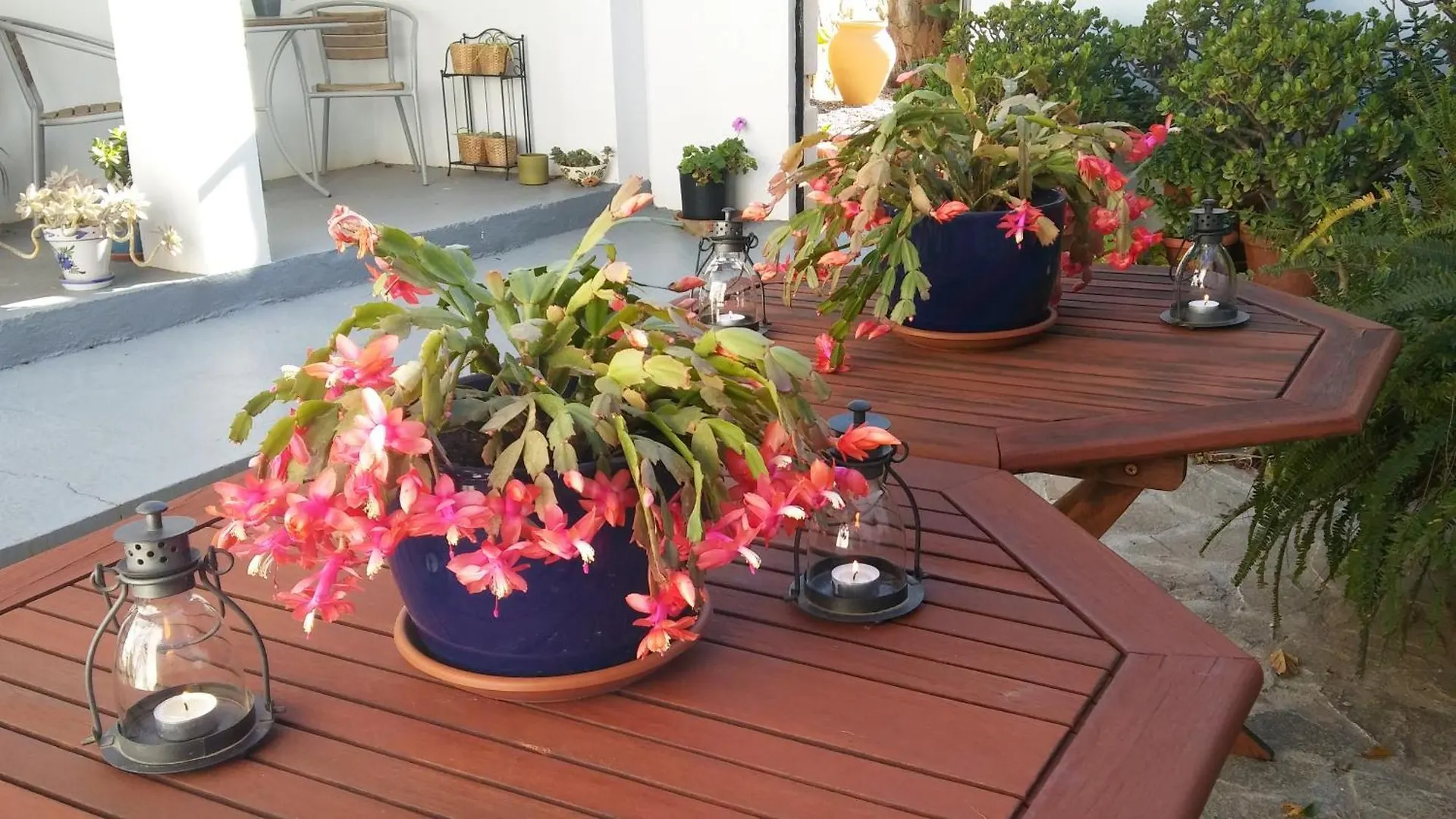 B&B Casa Domingo Alora Spain
