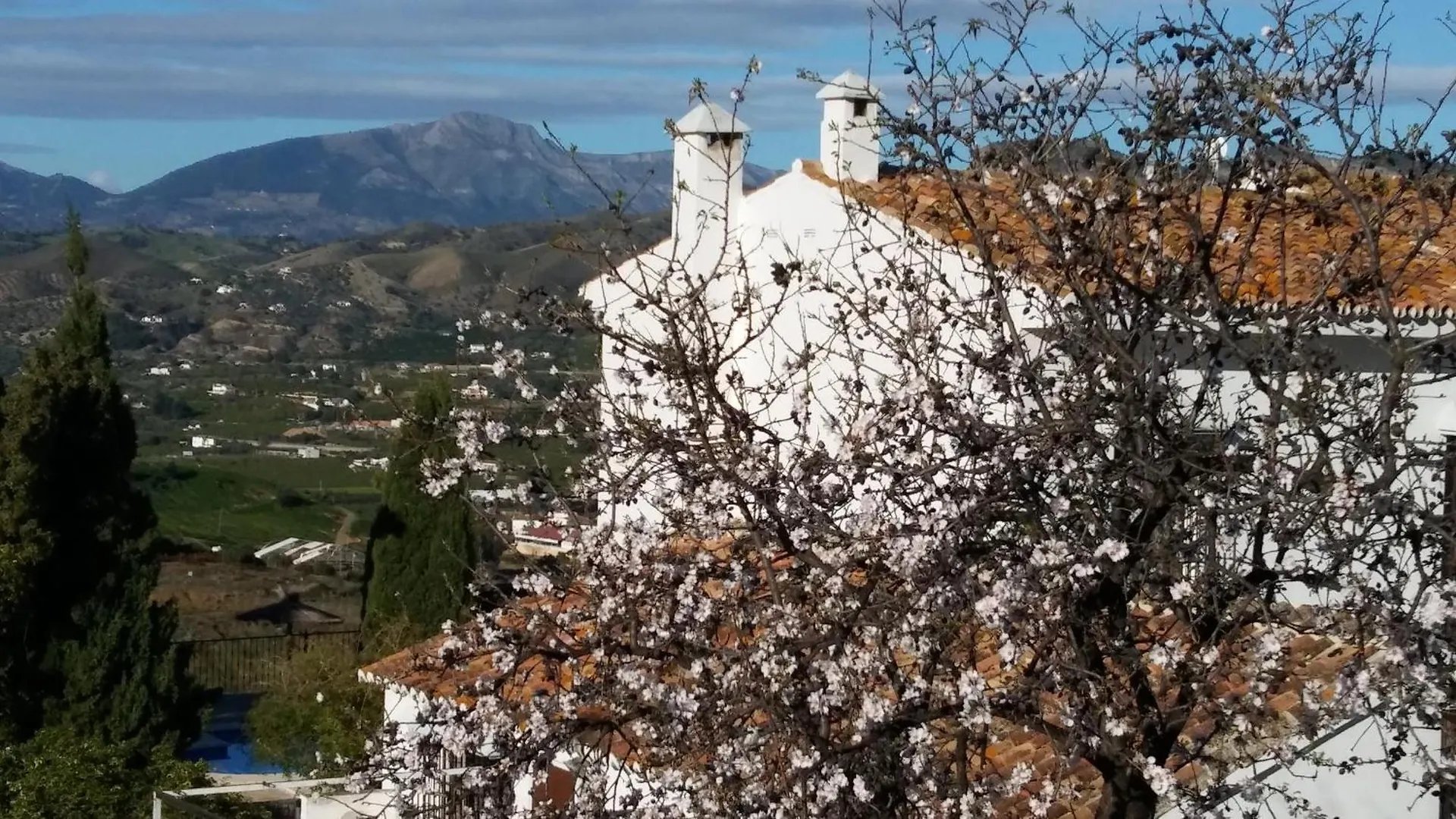 B&B Casa Domingo Alora 0*,  Spain