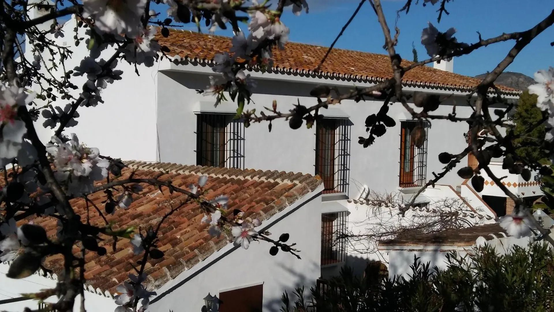 B&B Casa Domingo Alora Bed & Breakfast