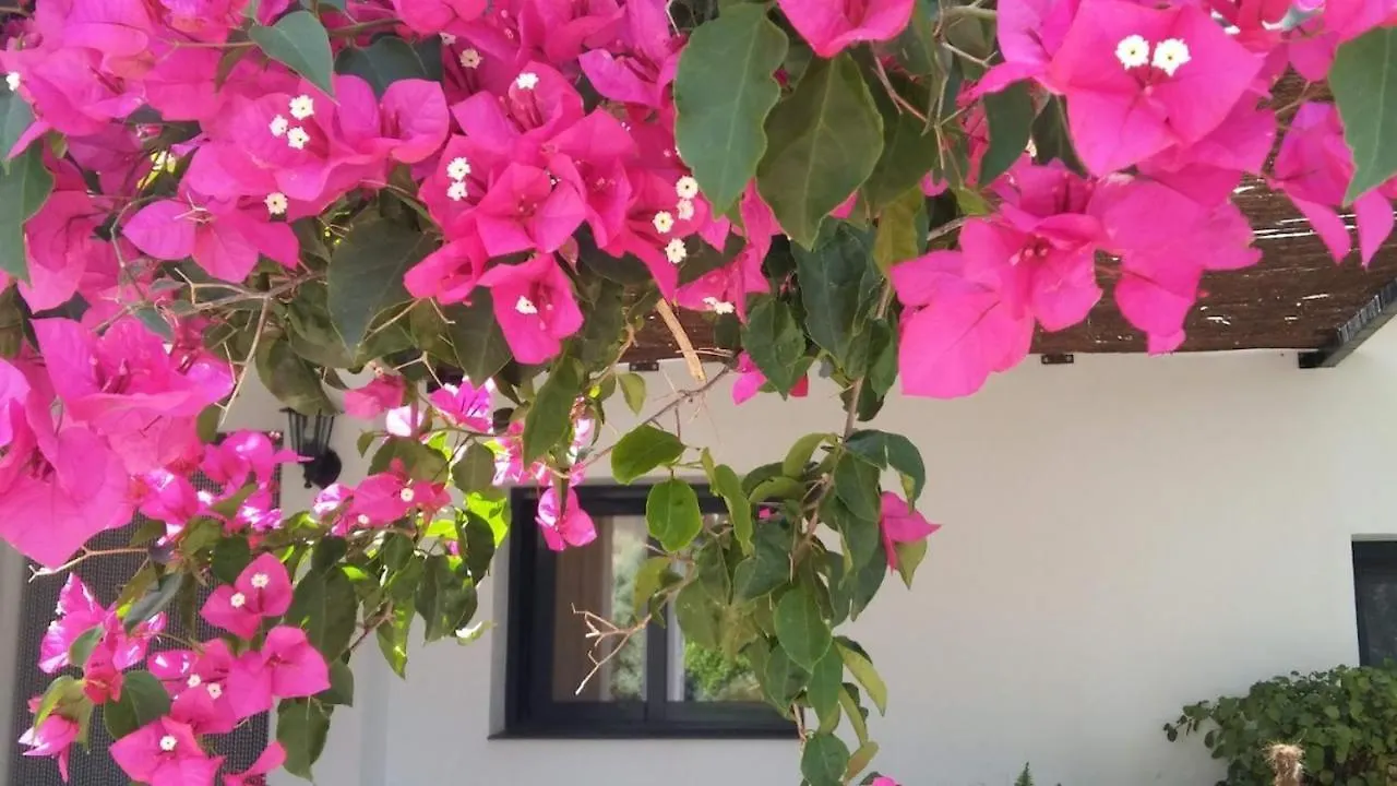B&B Casa Domingo Alora Bed & Breakfast