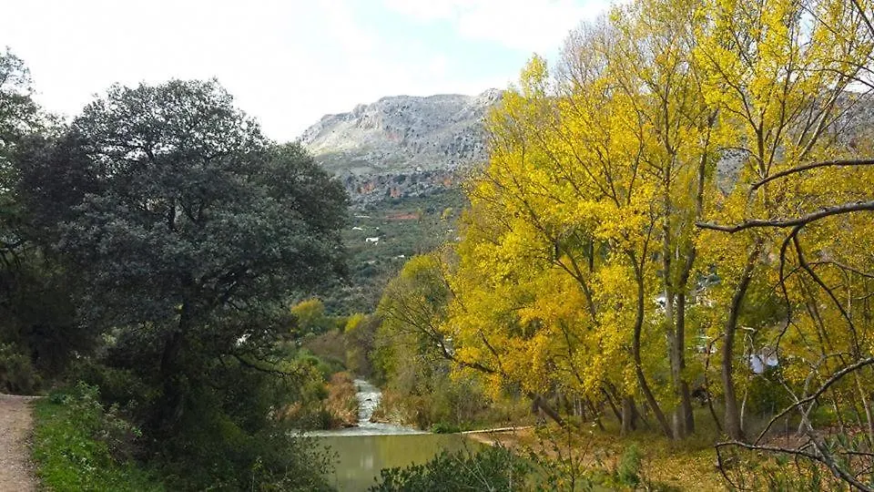 Bed & Breakfast B&B Casa Domingo Alora Spain